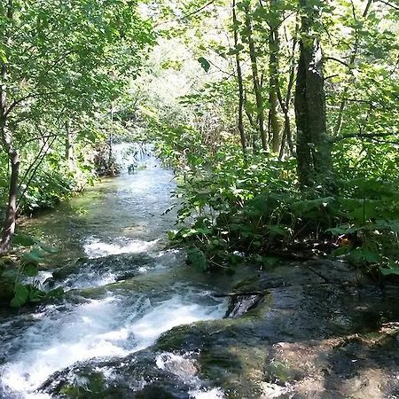 Guesthouse Marton Jezerce Kültér fotó